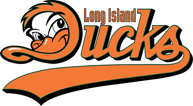 Long Island Ducks Baseball w/BBQ Picnic & Fireworks Spectacular